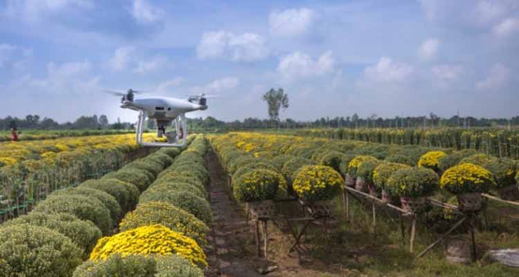 Drone in Agricultural