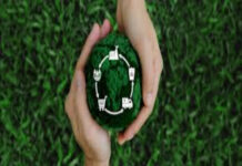 SGS Showcases Global Grid Code Compliance Solutions Global grid code compliance solutions
